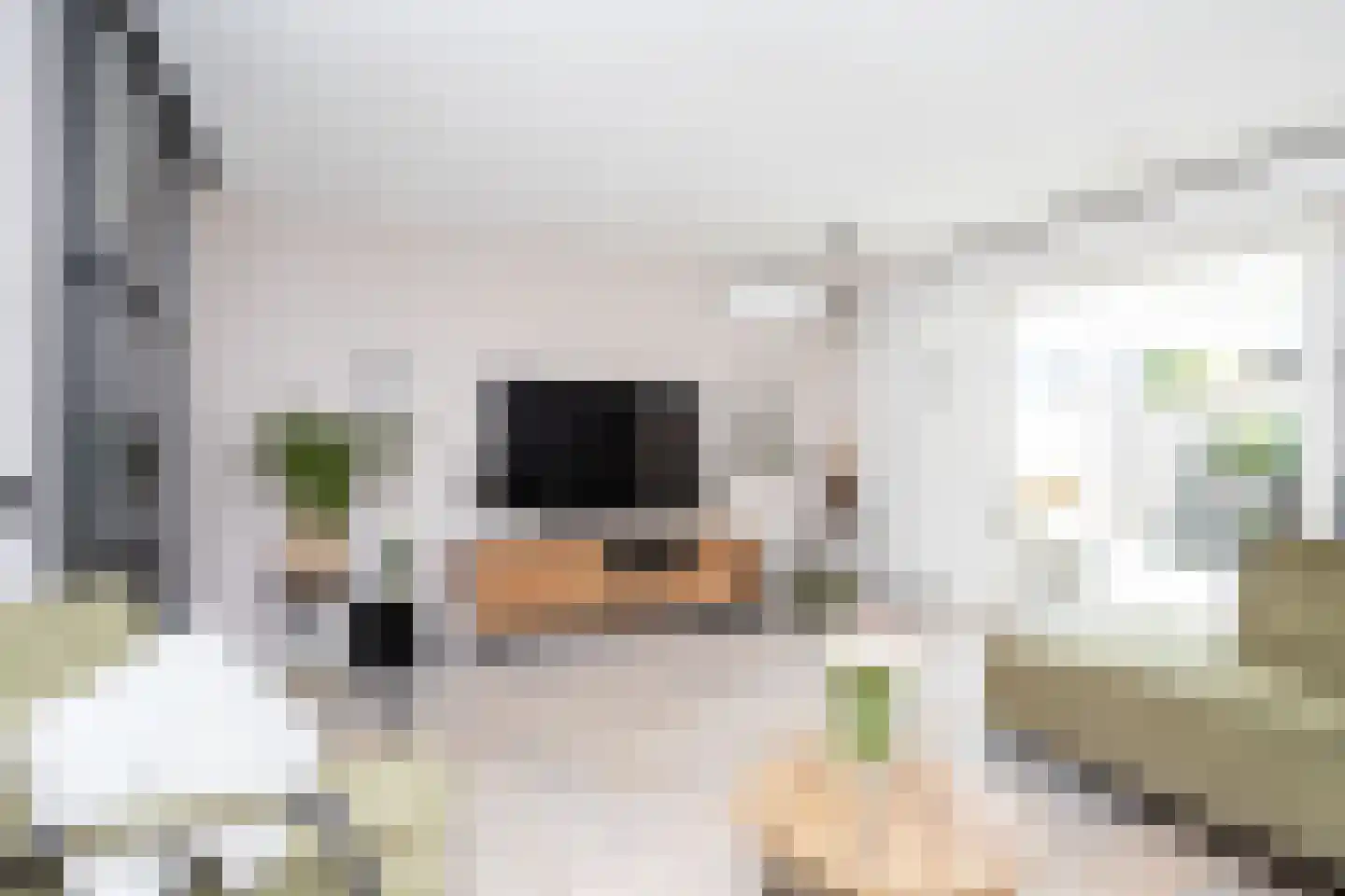 Deventerpad 25 Berkel en Rodenrijs thumbnail 16