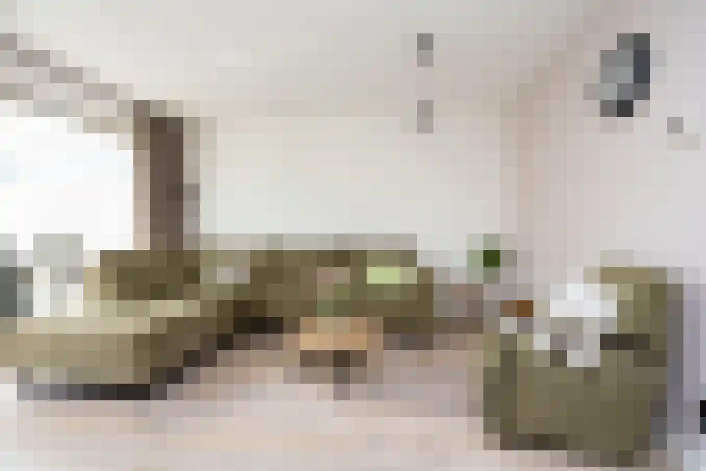 Deventerpad 25 Berkel en Rodenrijs thumbnail 19