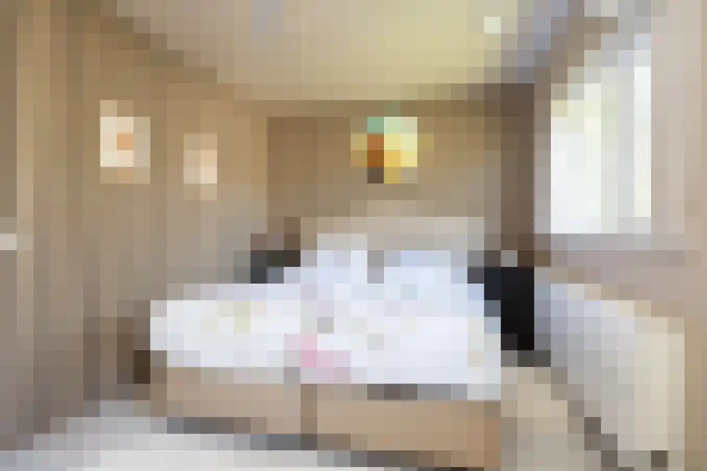 Deventerpad 25 Berkel en Rodenrijs thumbnail 27