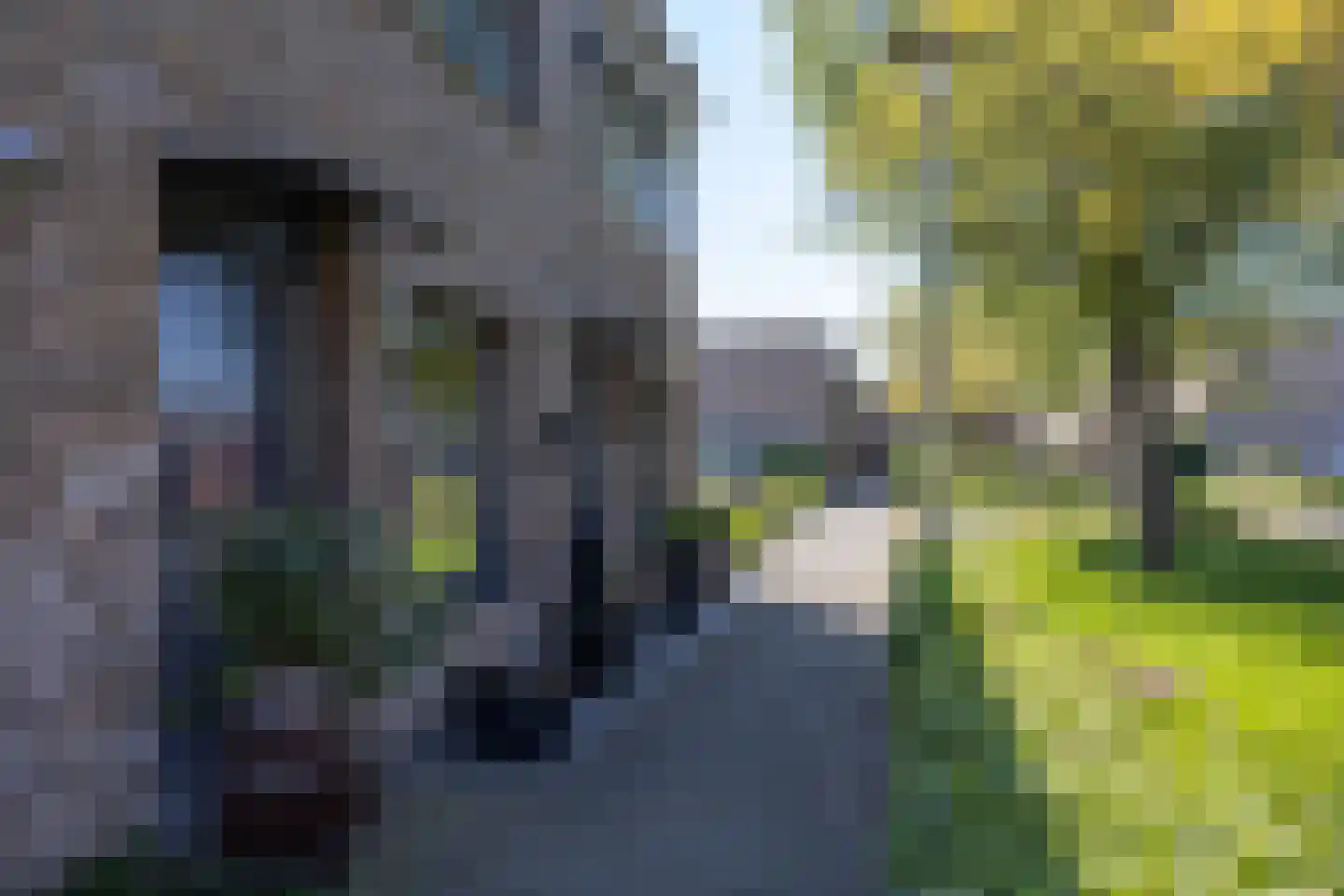 Deventerpad 25 Berkel en Rodenrijs thumbnail 4