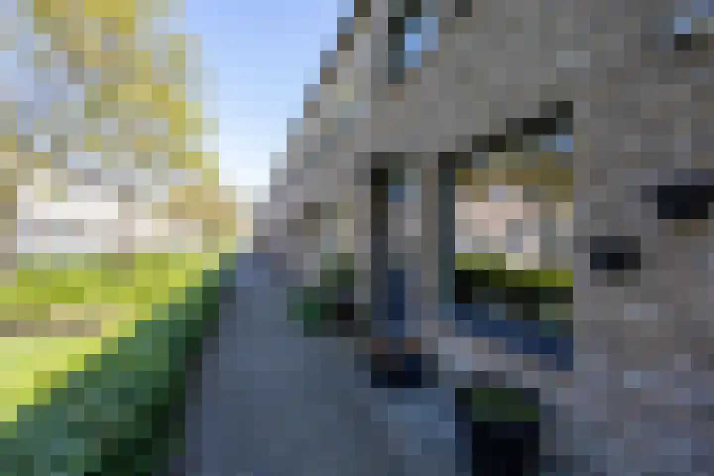 Deventerpad 25 Berkel en Rodenrijs thumbnail 5