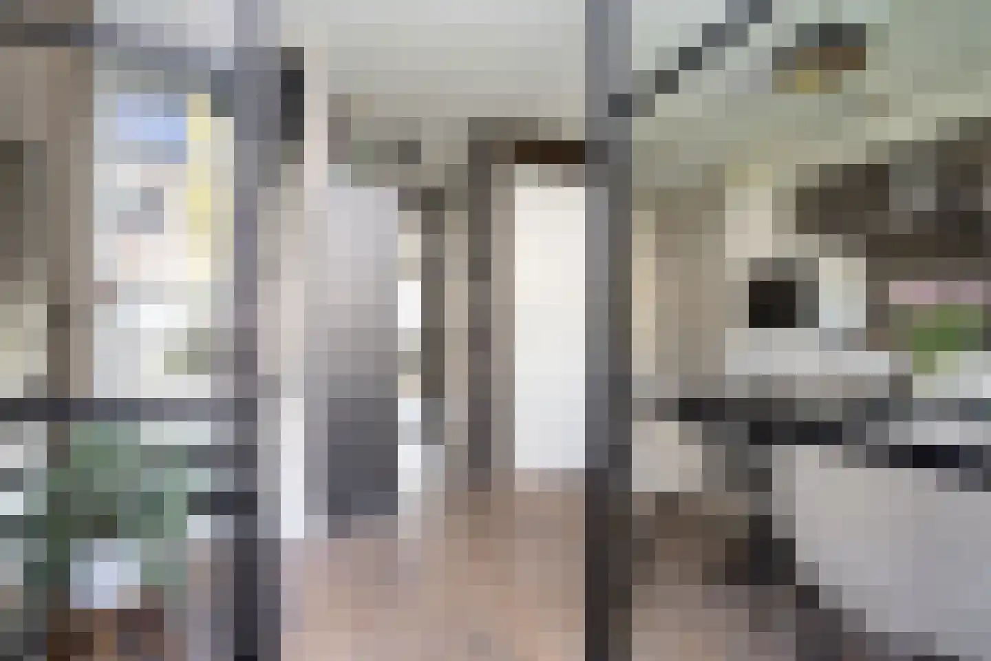 Deventerpad 25 Berkel en Rodenrijs thumbnail 8