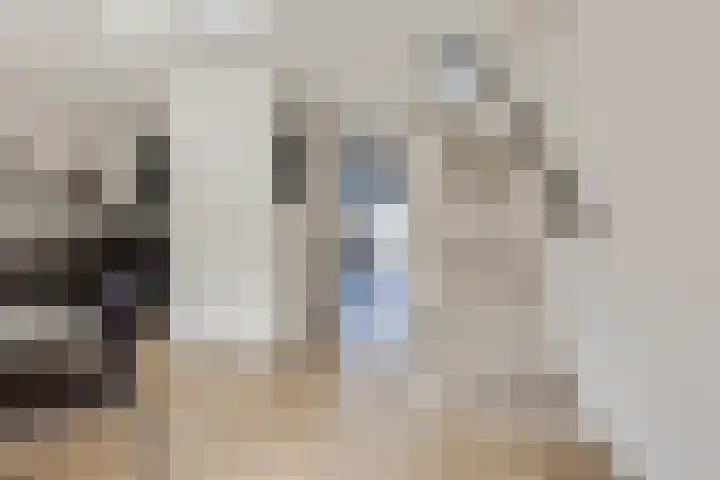 Deventerpad 34 Berkel en Rodenrijs thumbnail 10