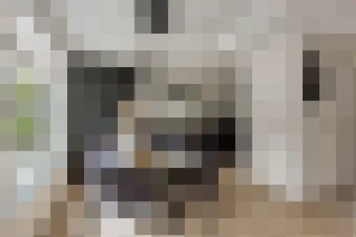 Deventerpad 34 Berkel en Rodenrijs thumbnail 11