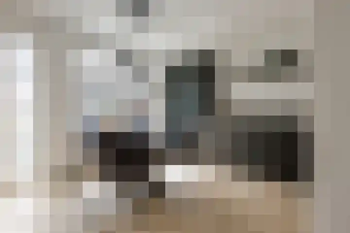 Deventerpad 34 Berkel en Rodenrijs thumbnail 12