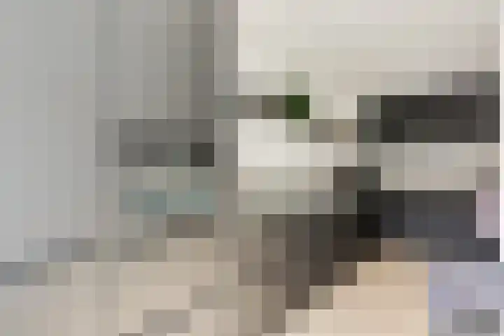 Deventerpad 34 Berkel en Rodenrijs thumbnail 14