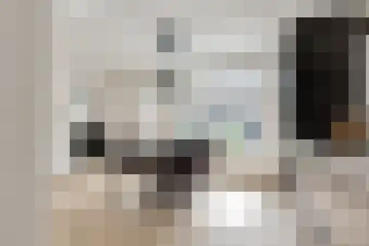 Deventerpad 34 Berkel en Rodenrijs thumbnail 15