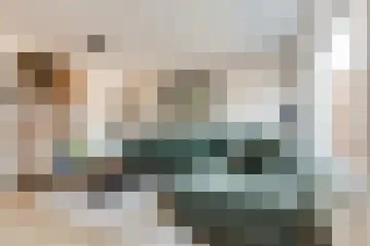 Deventerpad 34 Berkel en Rodenrijs thumbnail 17