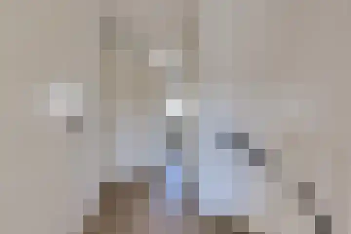 Deventerpad 34 Berkel en Rodenrijs thumbnail 21
