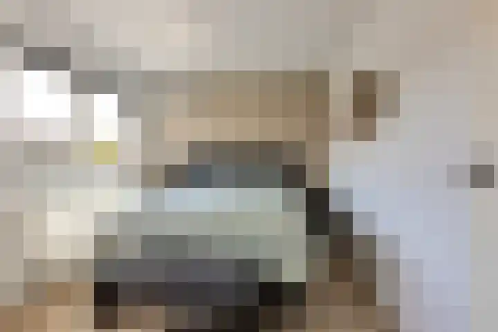 Deventerpad 34 Berkel en Rodenrijs thumbnail 22