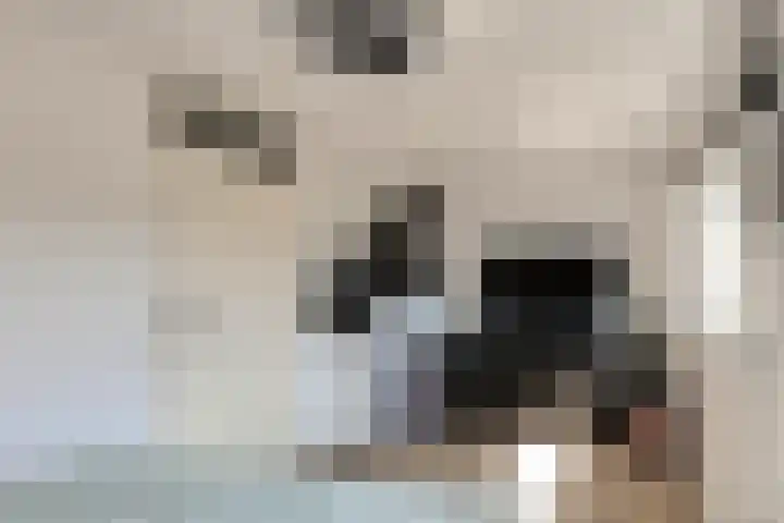 Deventerpad 34 Berkel en Rodenrijs thumbnail 24