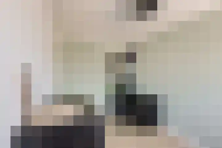 Deventerpad 34 Berkel en Rodenrijs thumbnail 26
