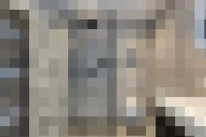 Deventerpad 34 Berkel en Rodenrijs thumbnail 29