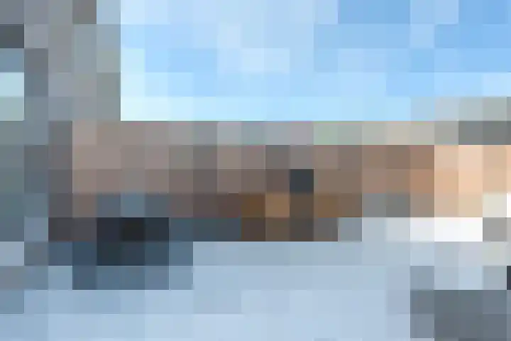 Deventerpad 34 Berkel en Rodenrijs thumbnail 33
