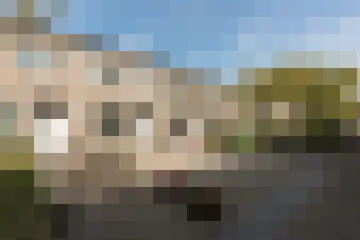 Deventerpad 34 Berkel en Rodenrijs thumbnail 5