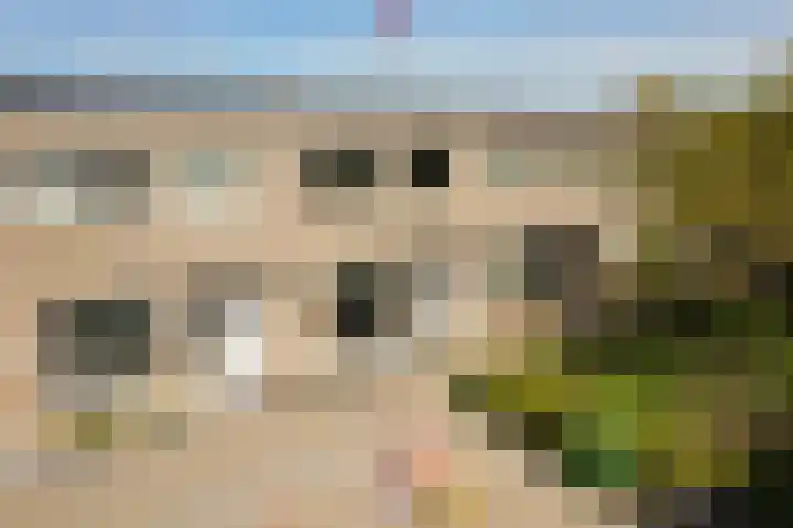 Deventerpad 34 Berkel en Rodenrijs thumbnail 6
