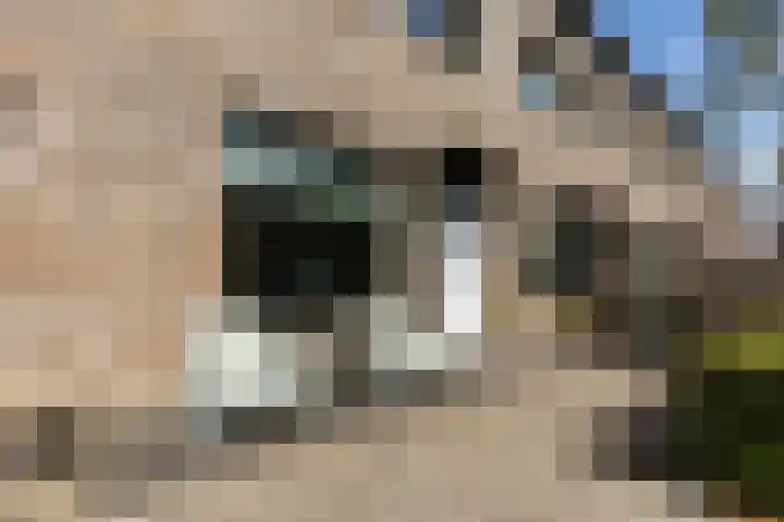 Deventerpad 34 Berkel en Rodenrijs thumbnail 7