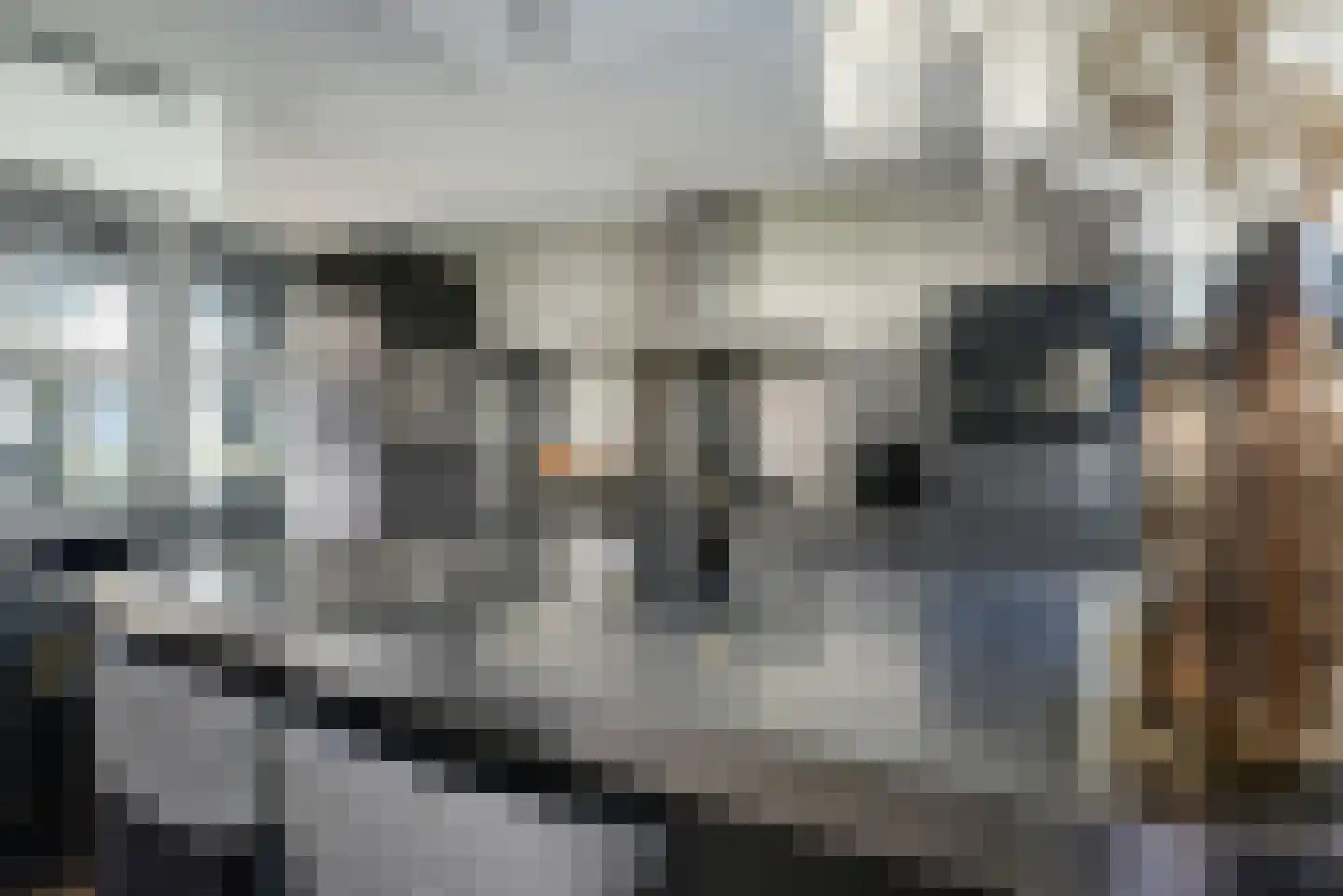 Deventerpad 35 Berkel en Rodenrijs thumbnail 13