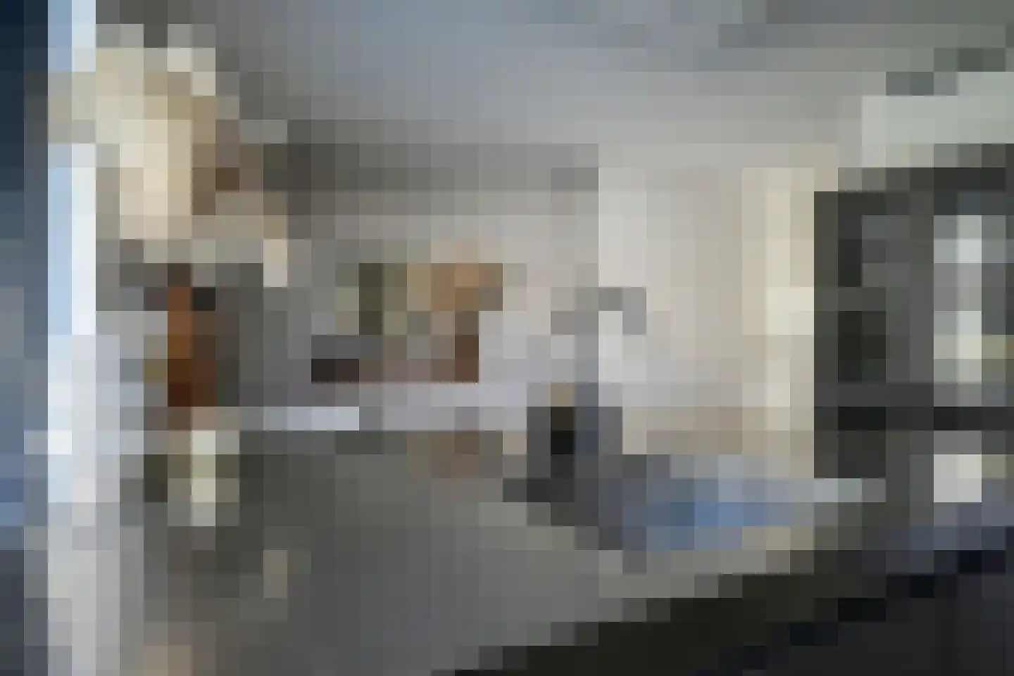 Deventerpad 35 Berkel en Rodenrijs thumbnail 14
