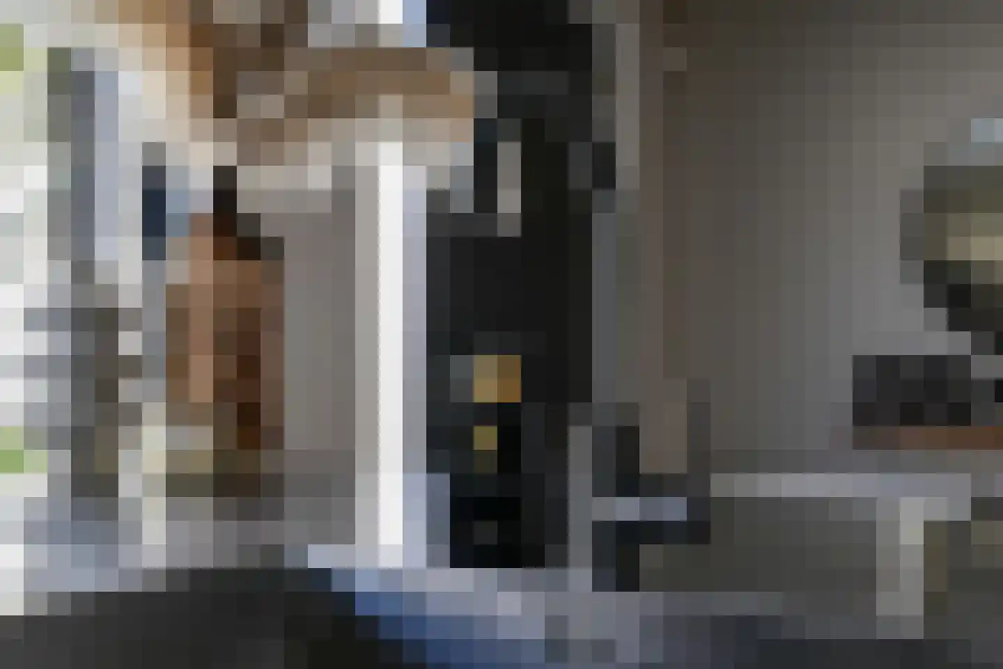 Deventerpad 35 Berkel en Rodenrijs thumbnail 15