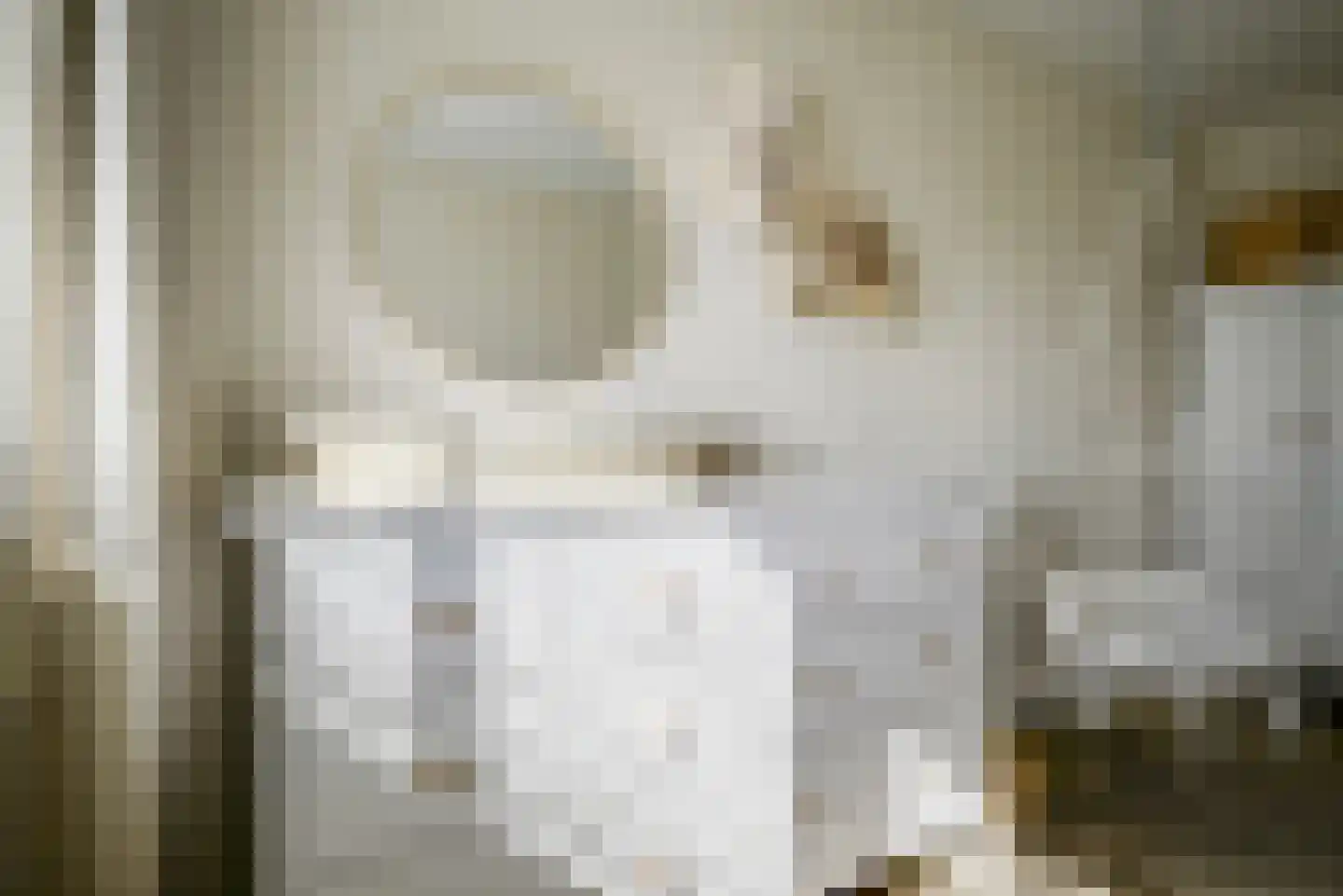 Deventerpad 35 Berkel en Rodenrijs thumbnail 21