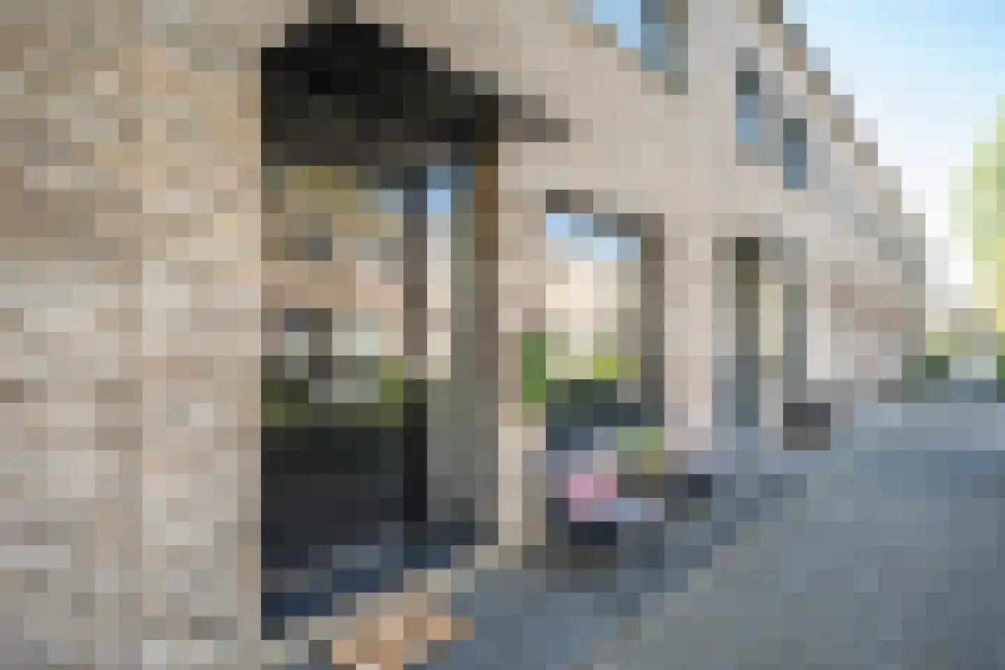 Deventerpad 35 Berkel en Rodenrijs thumbnail 5