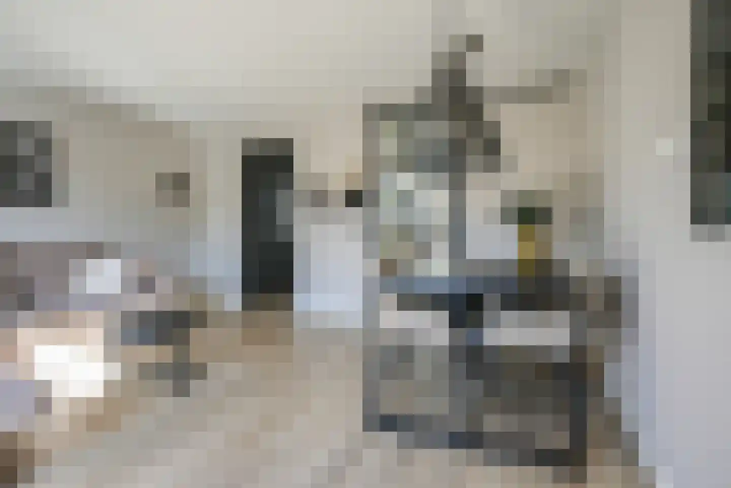 Deventerpad 35 Berkel en Rodenrijs thumbnail 8