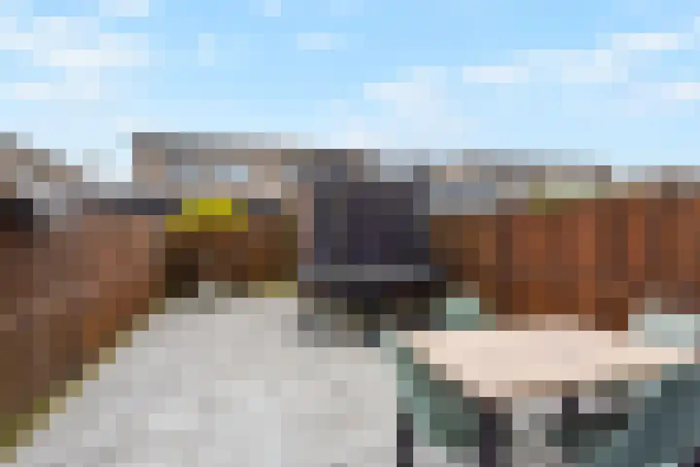 Deventerpad 37 Berkel en Rodenrijs thumbnail 10