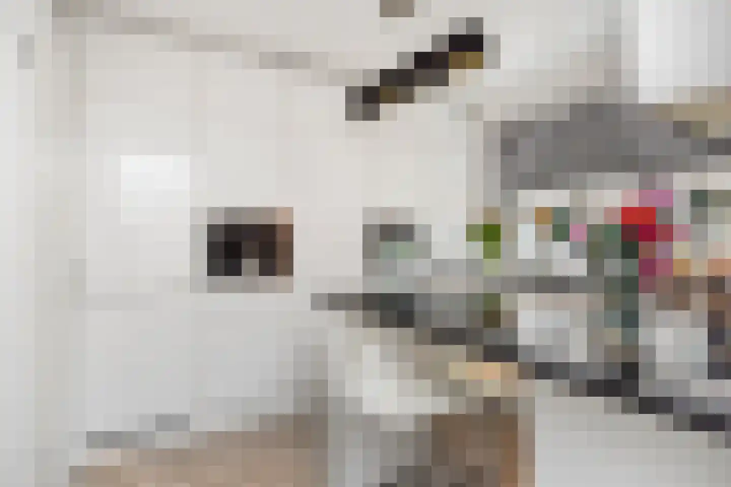 Deventerpad 37 Berkel en Rodenrijs thumbnail 15