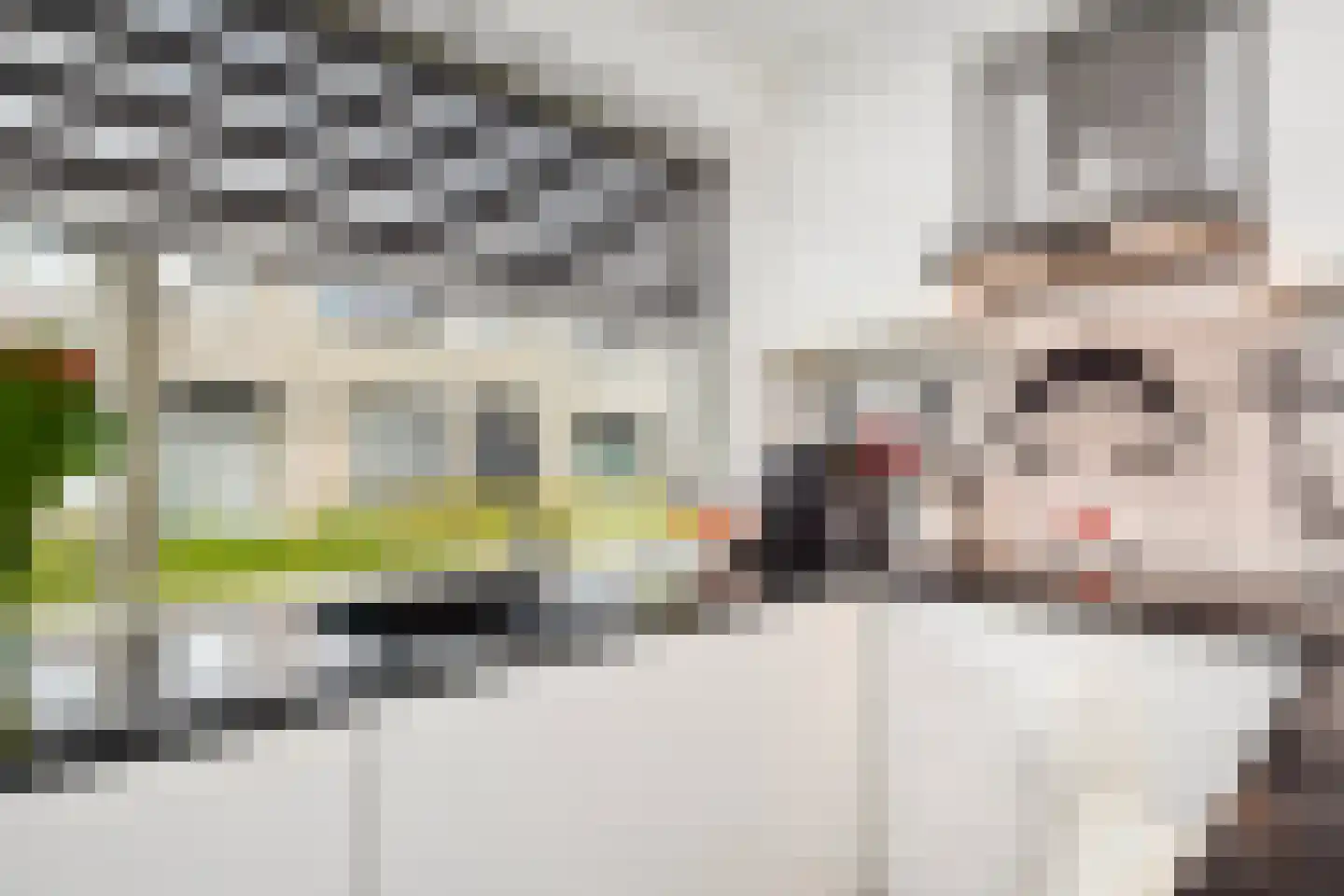 Deventerpad 37 Berkel en Rodenrijs thumbnail 17