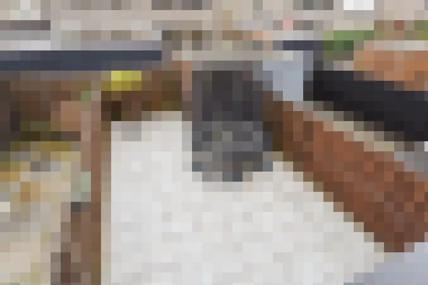 Deventerpad 37 Berkel en Rodenrijs thumbnail 4