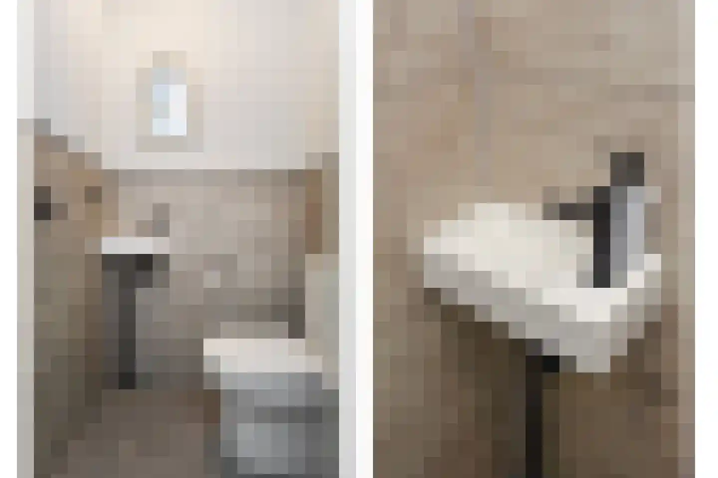 Deventerpad 37 Berkel en Rodenrijs thumbnail 8