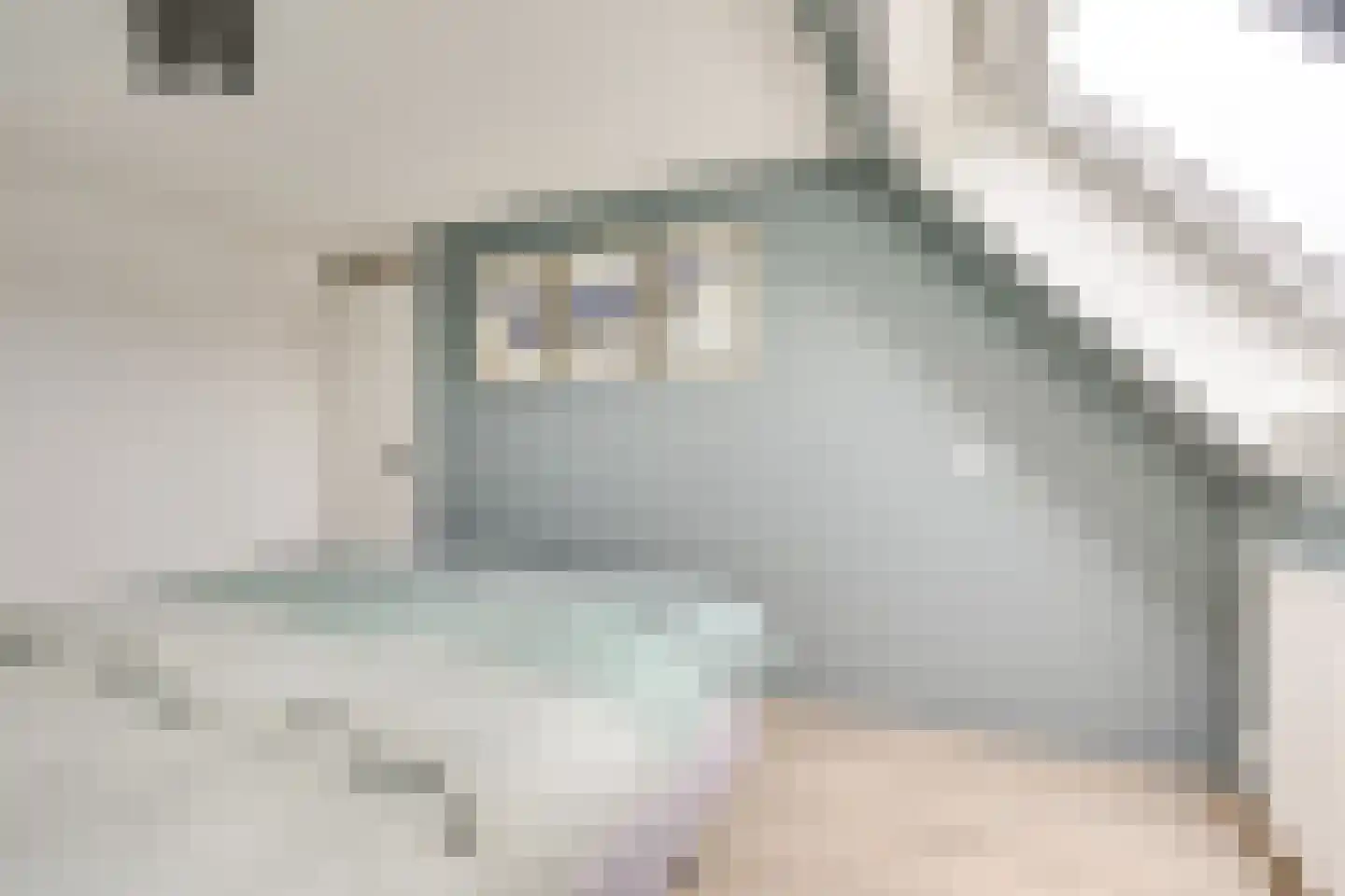 Deventerschans 13 Nieuwegein thumbnail 30