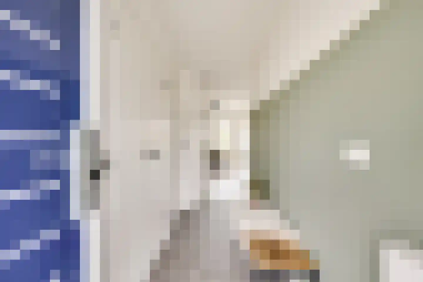Deventerschans 13 Nieuwegein thumbnail 4