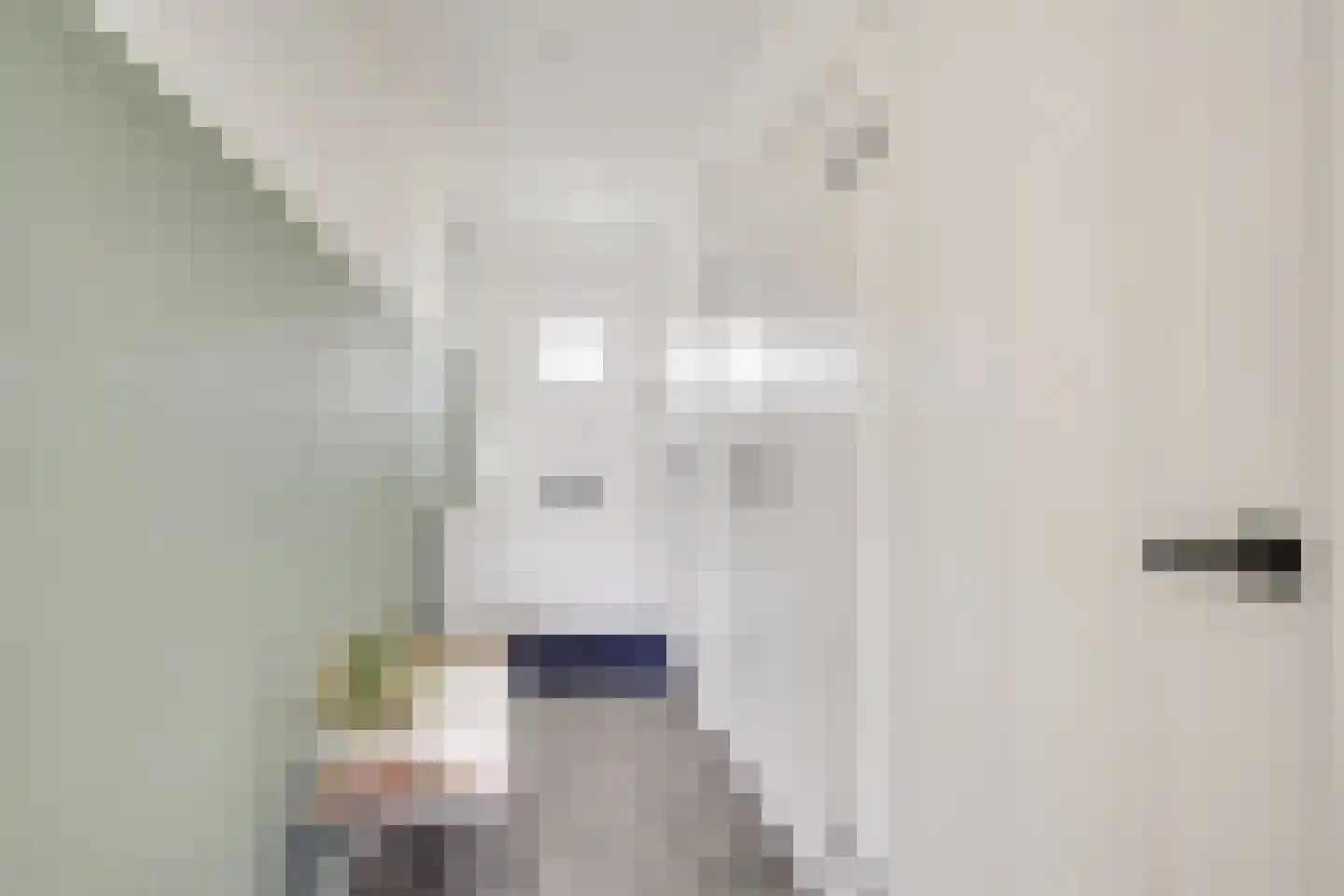 Deventerschans 13 Nieuwegein thumbnail 5