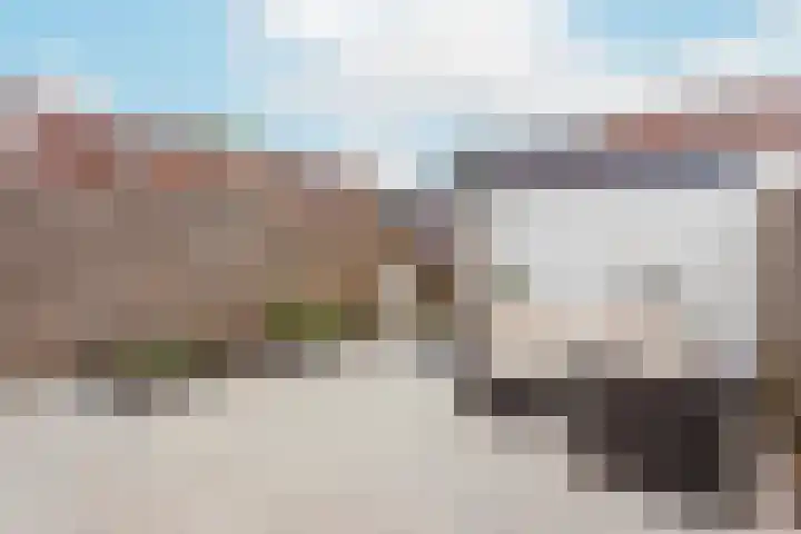 Deventerschans 41 Nieuwegein thumbnail 15