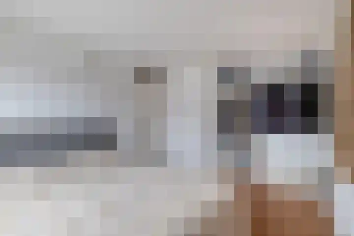 Deventerschans 52 Nieuwegein thumbnail 32