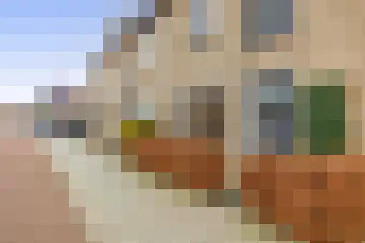 Deventerschans 52 Nieuwegein thumbnail 38