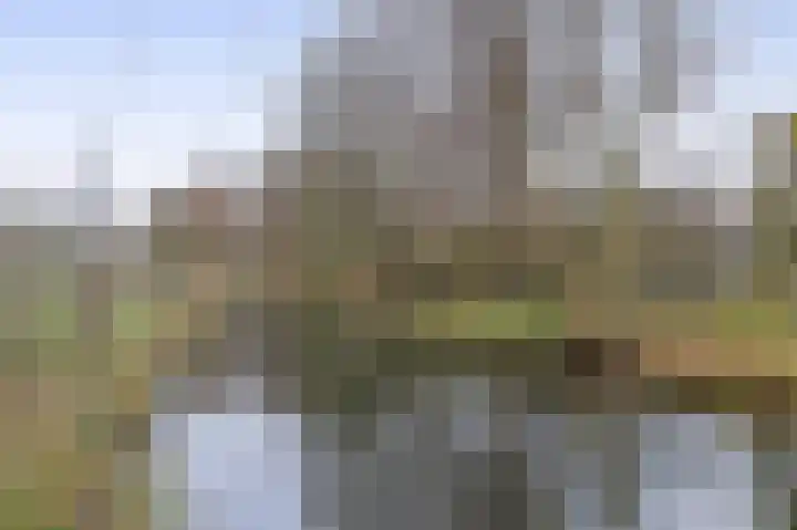 Deventerschans 52 Nieuwegein thumbnail 44