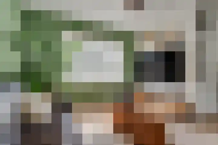 Deventerschans 7 Nieuwegein thumbnail 13