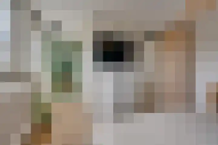 Deventerschans 7 Nieuwegein thumbnail 27