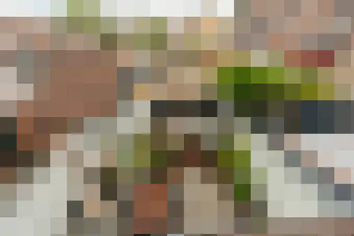Deventerschans 7 Nieuwegein thumbnail 28