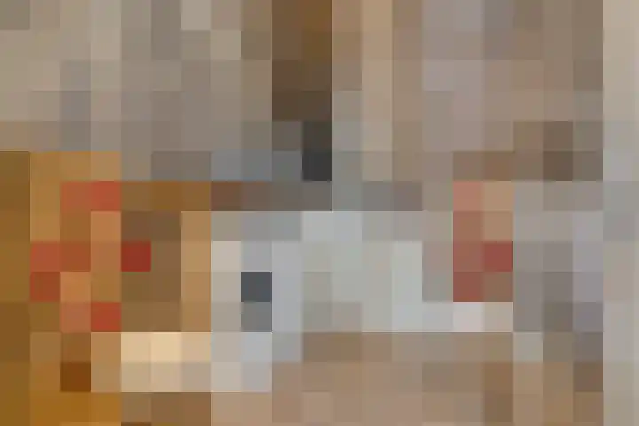 Deventerschans 7 Nieuwegein thumbnail 39