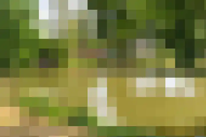 Deventerschans 7 Nieuwegein thumbnail 41