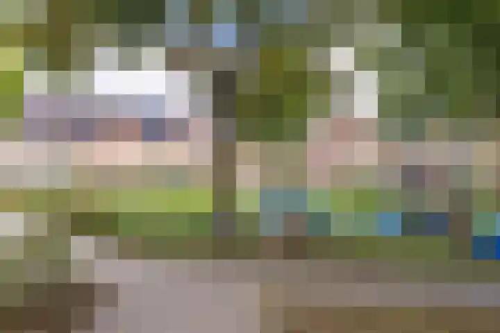 Deventerschans 7 Nieuwegein thumbnail 42