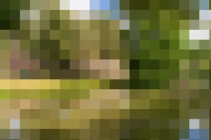 Deventerschans 7 Nieuwegein thumbnail 6