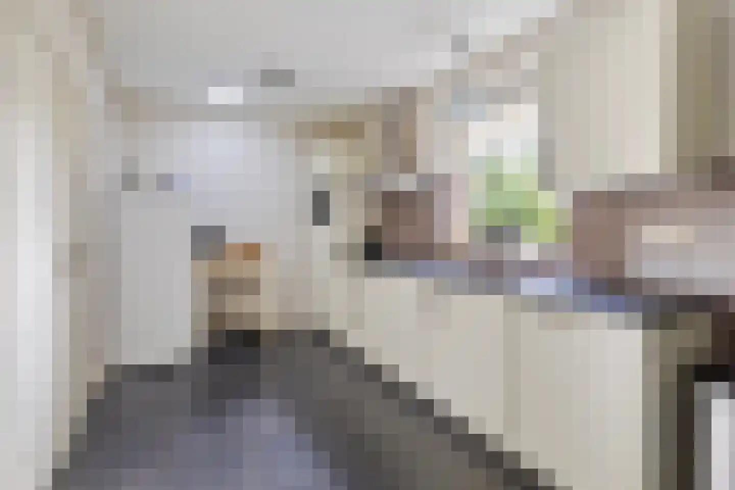 Deventerstraat 107 Vaassen thumbnail 16