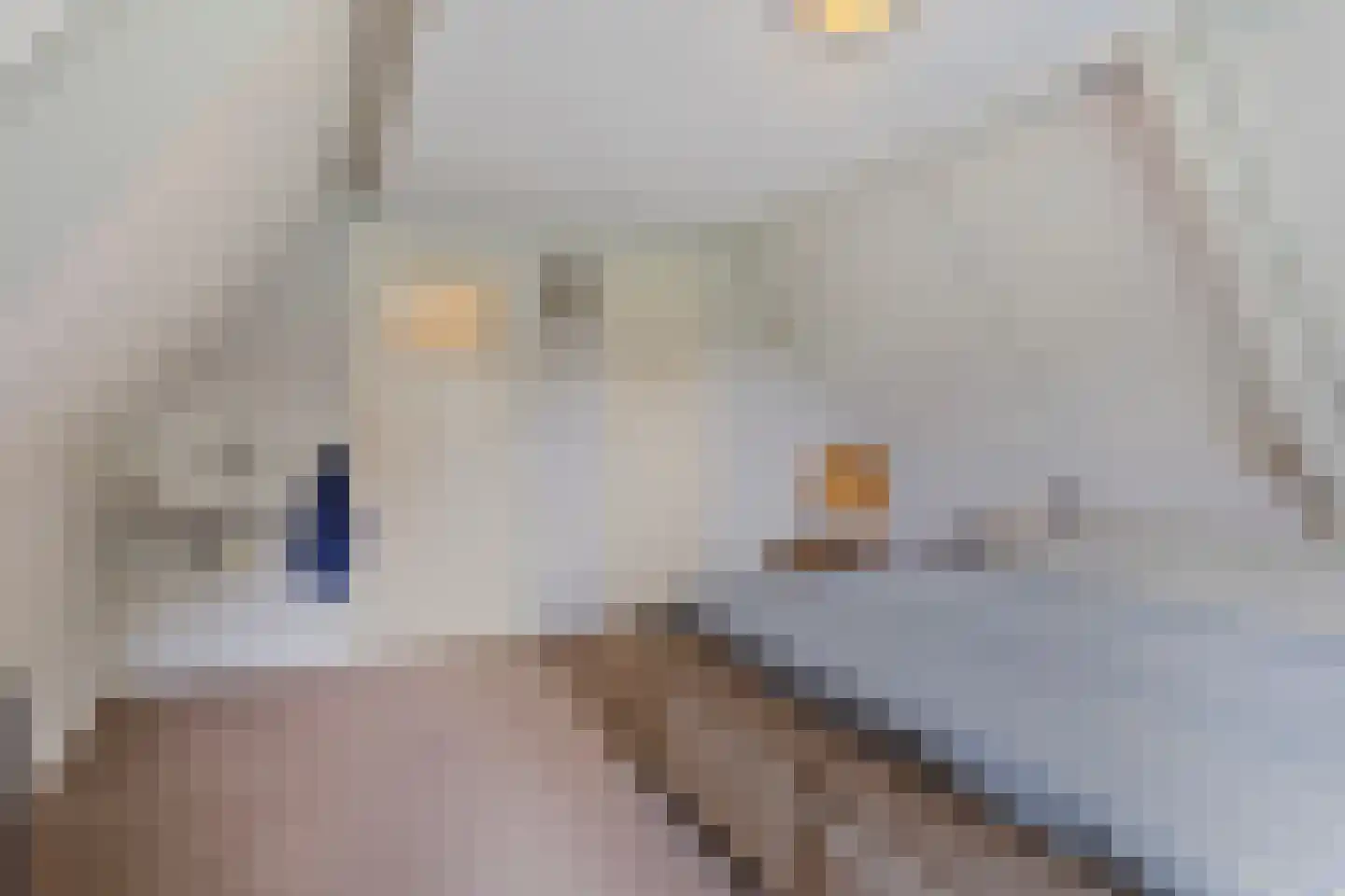 Deventerstraat 107 Vaassen thumbnail 26