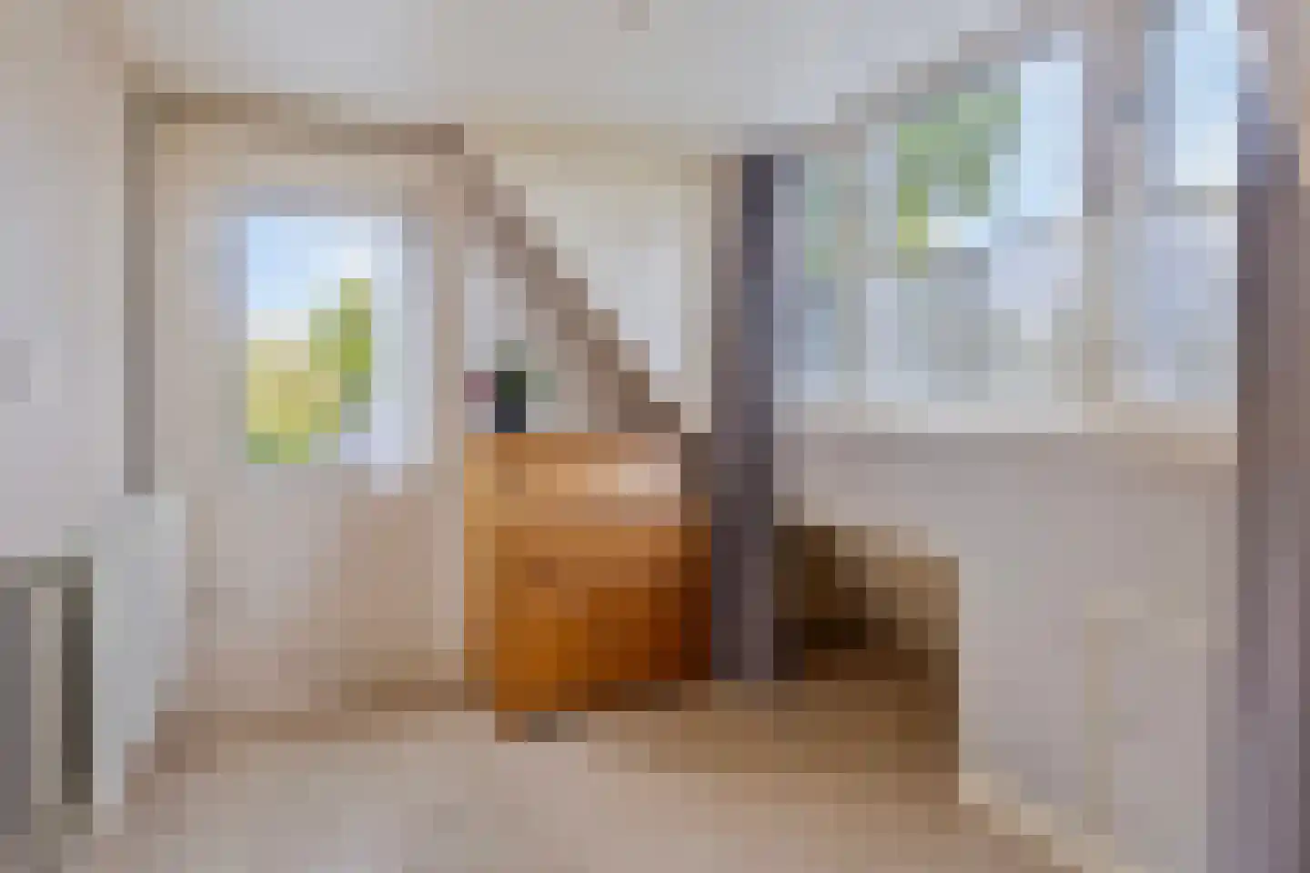 Deventerstraat 107 Vaassen thumbnail 29