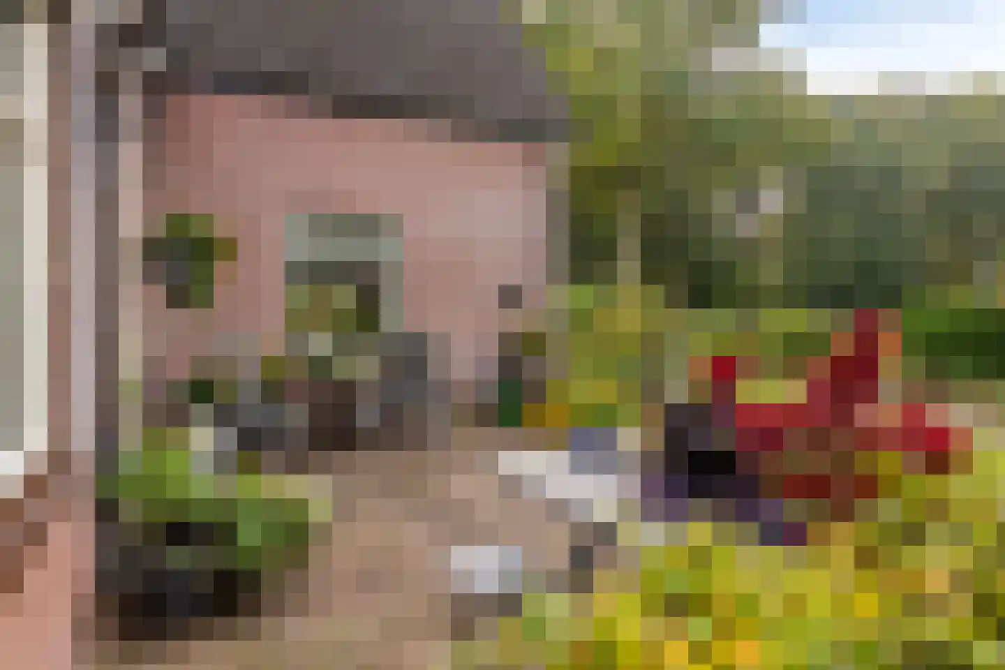 Deventerstraat 107 Vaassen thumbnail 30